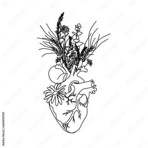 Human Heart With Flowers Vector One Line Drawingmedical Art Print