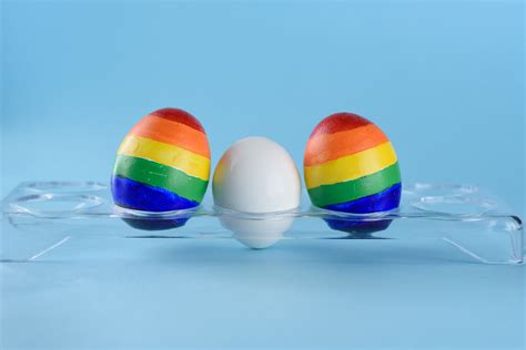 Understanding More About LGBTQ Fertility Options Bux Vertise
