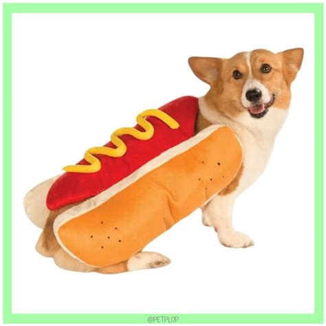 Hot Dog Costume In 2020 Huisdier Kleren Hond Kleding Hond Halloween