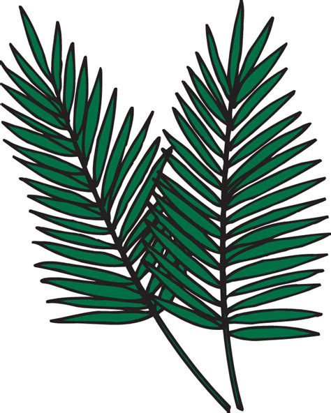 Free Palm Leaves Clipart Download Free Palm Leaves Clipart Png Images