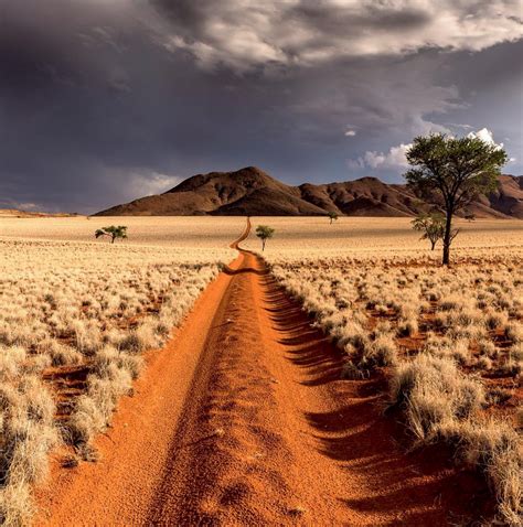The Desert Of Namibia Rpics