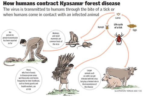 Why zoonotic diseases are fast spreading to humans