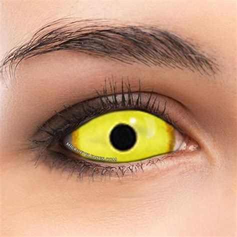Sclera Of Eye Yellow Celera Anda