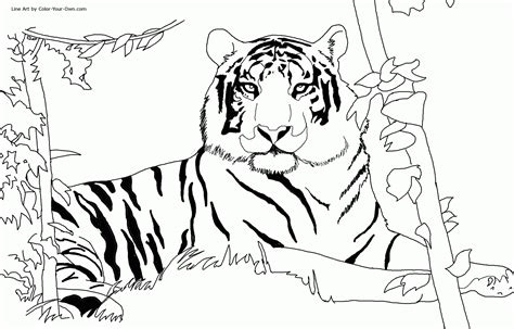 Free Tiger Coloring Pages Free Download Free Tiger Coloring Pages Free