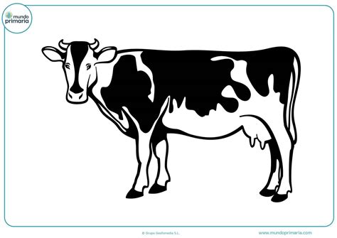 Dibujos de Vacas para Colorear 【Imprimir y Pintar】