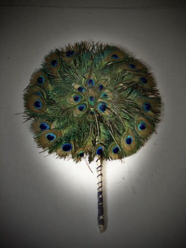 Rare 19th Century Handmade Peacock Feather Hand Fan Vintage