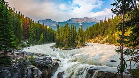 Sunwapta Falls In Jasper National Park Canada © Schroptschopgetty