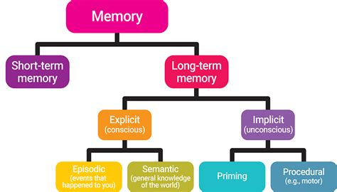 Types Of Computer Memory Operating System Riset