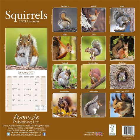 Squirrels Calendar Animal Calendars Pet Prints Inc