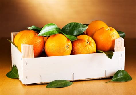 Fresh Oranges With Leaves Stock Photo Image Of Fruit 36487072