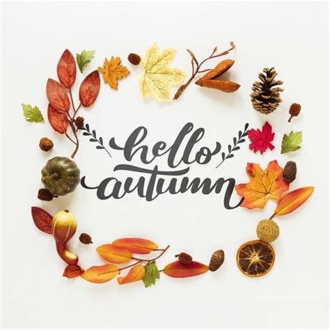 Download Hello Autumn Quote With Dried Leaves And Fruit for free