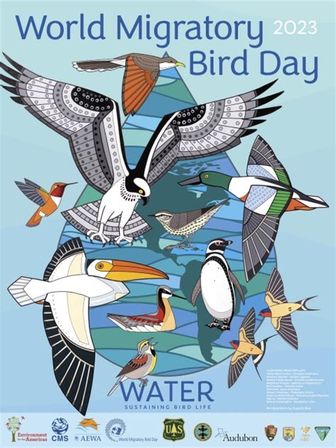2023 World Migratory Bird Day Poster Image