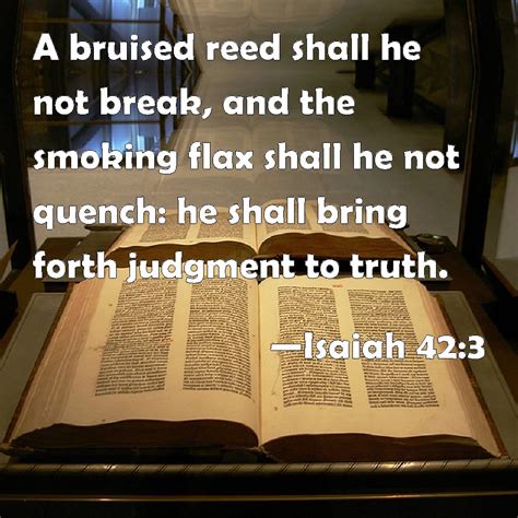 Isaiah 423 A Bruised Reed Shall He Not Break And The Smoking Flax