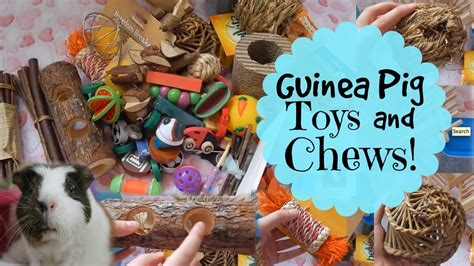 How To Make A Guinea Pig Chew Toy Toywalls