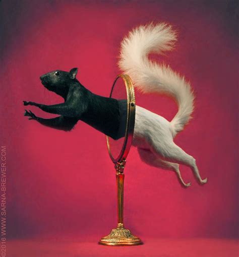 32 Best Rogue Taxidermy Art Images On Pinterest Taxidermy