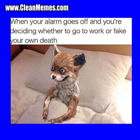 Enjoy new funniest and cutest compilation of the week about wild and domestic animals. Clean animal Memes