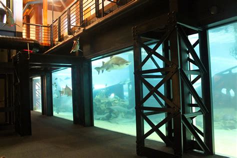 Aquamarine Projects Greater Cleveland Aquarium