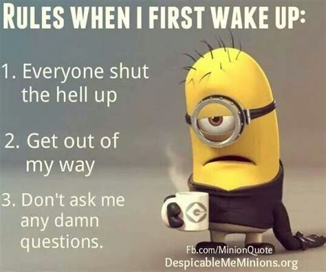 Rules When I First Wake Up Funny Good Morning Memes Morning Quotes Funny Minions Funny