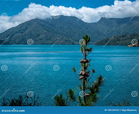 Landscape With Ocean Mountains And Trees Tasman Bay Nelson Area New