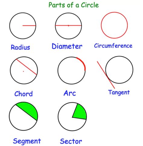Parts Of The Circle Revision Notes Corbettmaths