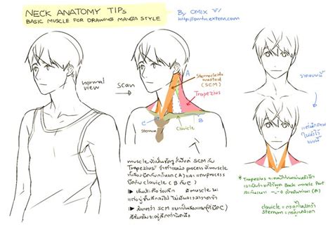 Drawing necks by moni158 on draw anime character tutorial 07 neck and shoulder. 27 best Neck Anatomy images on Pinterest | Human body, Human anatomy and Physical therapy