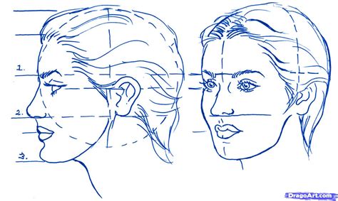 How To Draw Facial Features Features Of The Face Step By