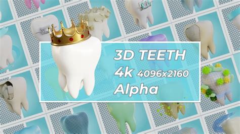 3d Teeth Pack Motion Graphics Videohive
