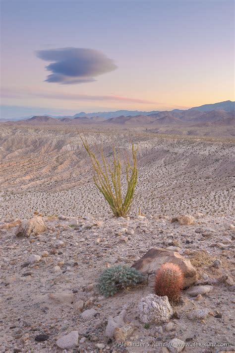 Desert Twilight Constellation Alexander S Kunz Photography