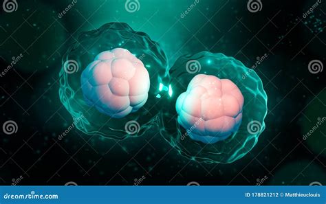 Cell Division Mitosis Or Meiosis Artisitic 3d Rendering Illustration
