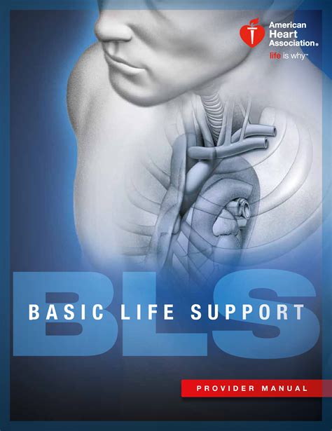 Basic Life Support Bls American Heart Association Cpr Bls Basic