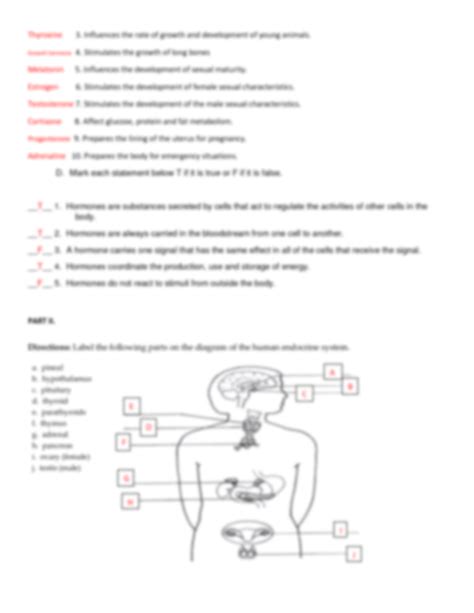 Solution Endocrine System Worksheet Studypool