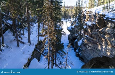 Athabasca Falls Canyon In Winter Season Stock Image Image Of Falls