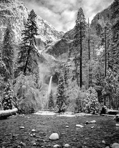 Yosemite National Park Black And White Photography