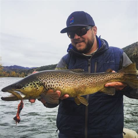 Fly Fishing Colorados Small Creeks