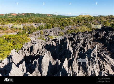 Madagascar North West Region Tsingy De Bemaraha Strict Nature Reserve