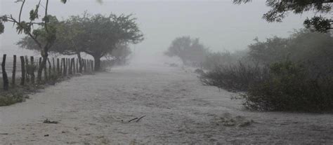 Todas las noticias sobre lluvia publicadas en el país. Pronostican un invierno con heladas frecuentes y lluvias ...