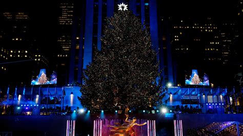 240 Miles And 50000 Lights The Rockefeller Tree The New York Times