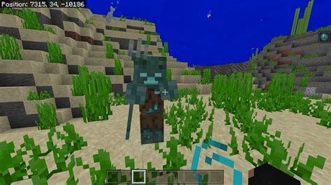 Top 5 Water Mobs In Minecraft