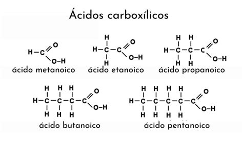Caracteristicas De Los Acidos Carboxilicos My XXX Hot Girl