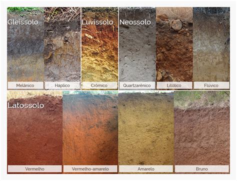 Tipos de solo saiba quais são e os tipos existentes no Brasil