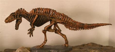 Acrocanthosaurus Skeleton Kaiyodo Dinotales Series 3 Dinosaur Toy Blog