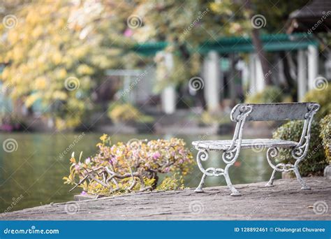 Beautiful Scenerylake Benches Stock Image Image Of Relaxation
