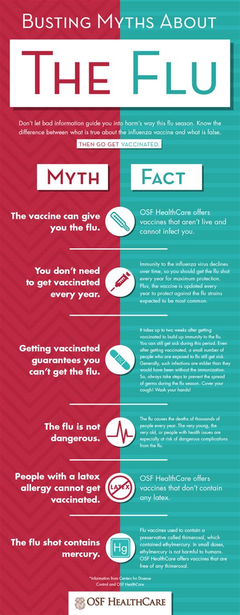 Busting Myths About The Flu Infographic