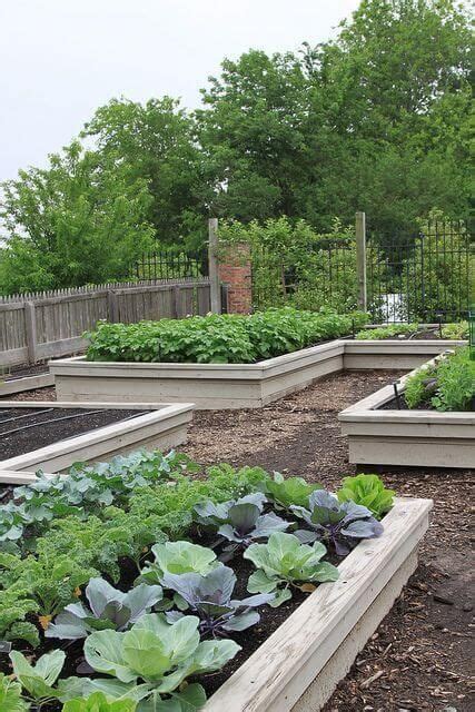 Vegetable gardens in elevated wooden flower beds. 46+ Simple Raised Vegetable Garden Bed Ideas 2020 | Garden ...