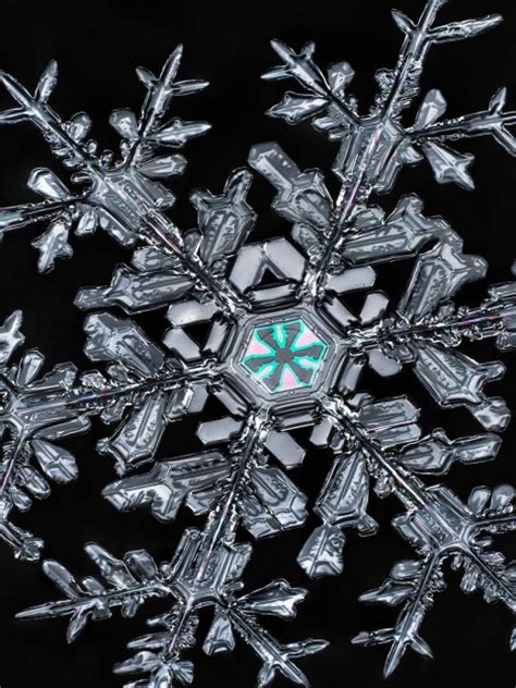 Snowflake Bing Wallpaper Download