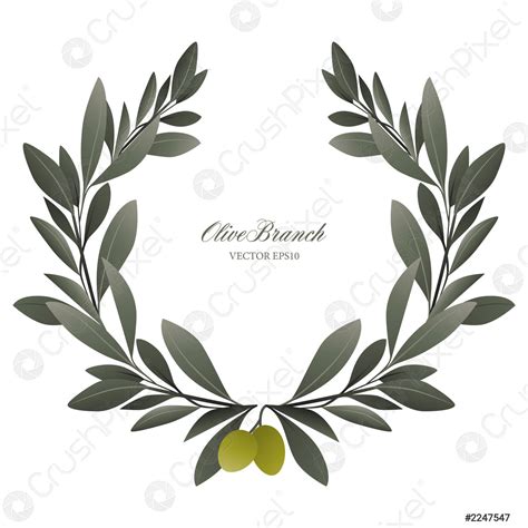 Olive Branch Wreath Isolated Vector Illustration Stock Vector 2247547