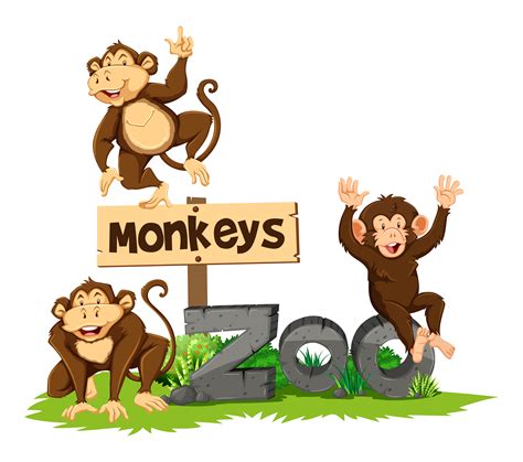 Three Monkeys In The Zoo 295002 Vector Art At Vecteezy