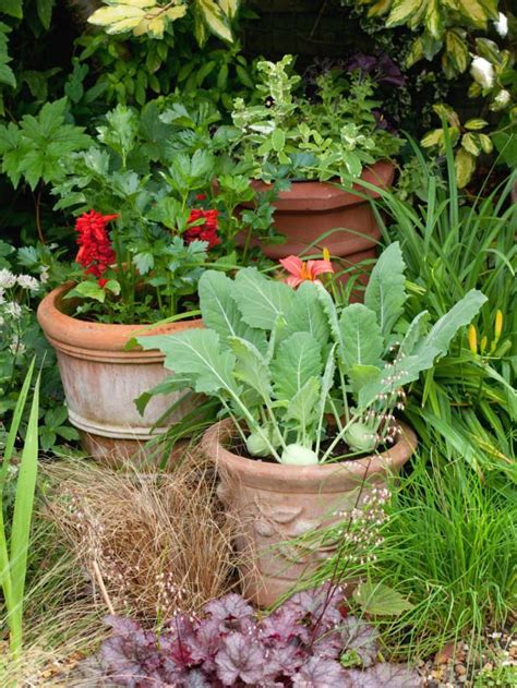 Edible Potted Plants Design Ideas Hgtv Gardens Vegetable Garden