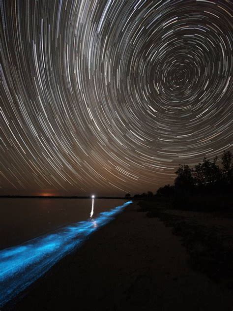 Bioluminescence And Night Phenomena Wordlesstech Star Trails