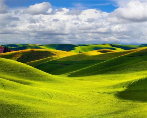 Wheat Field With Green And Yellow Hills Relief Beautiful Blue Sky With